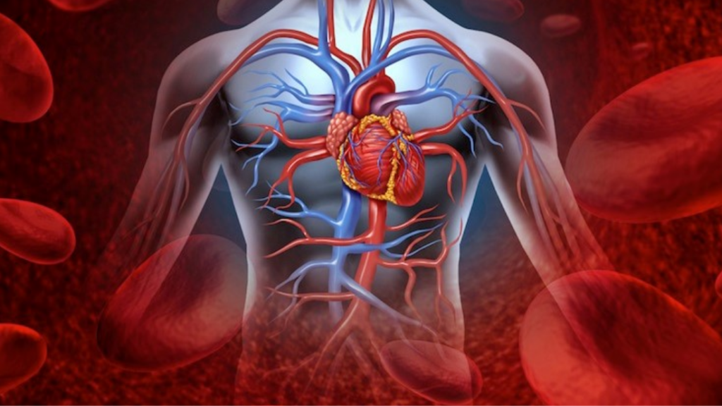 Cardiology Procedures in Guatemala